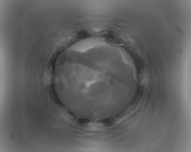 X0000112970515200909101656