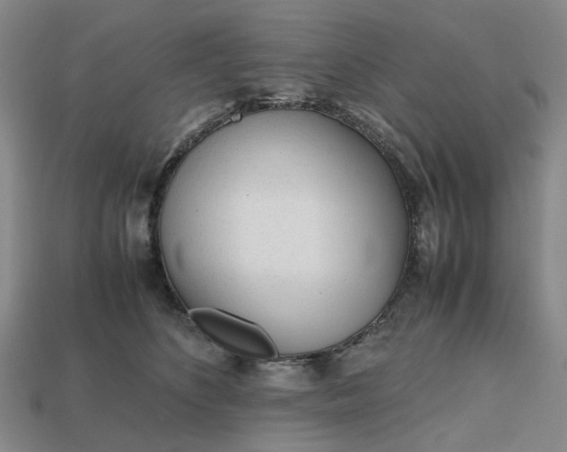 X0000112970516200909101656