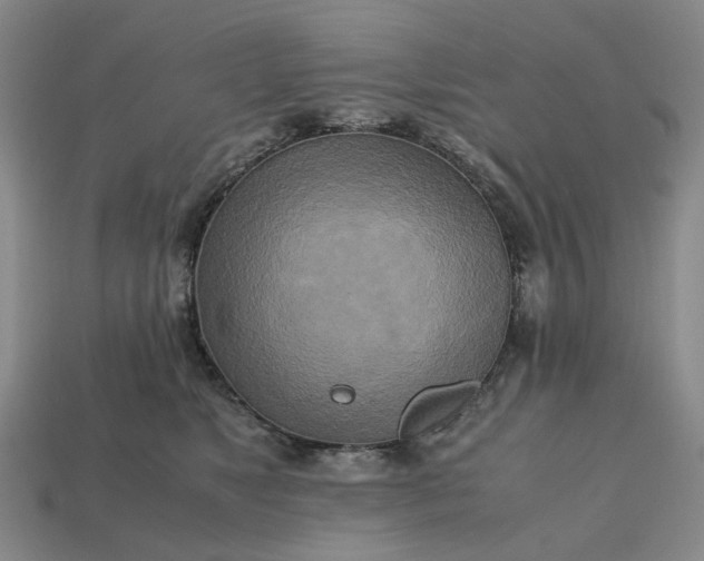 X0000112970517200909101656