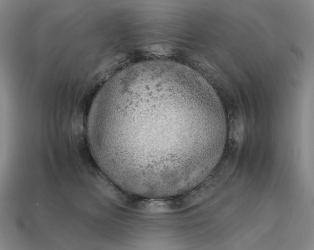 X0000112970518200909101656