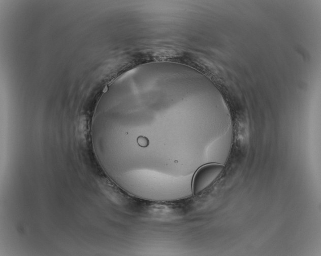 X0000112970519200909101656