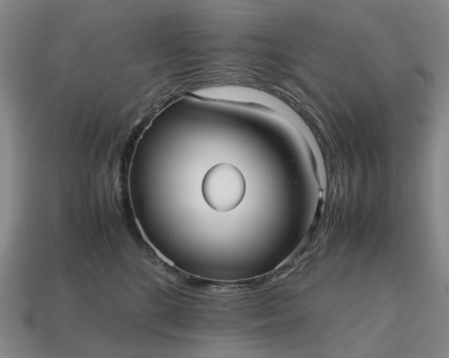 X0000112970520200909101656