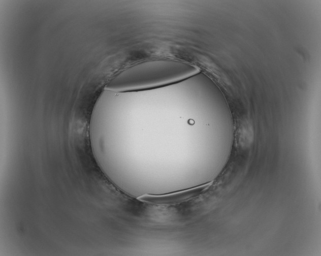 X0000112970521200909101656