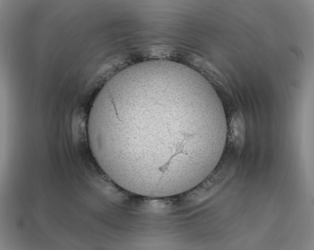 X0000112970522200909101656