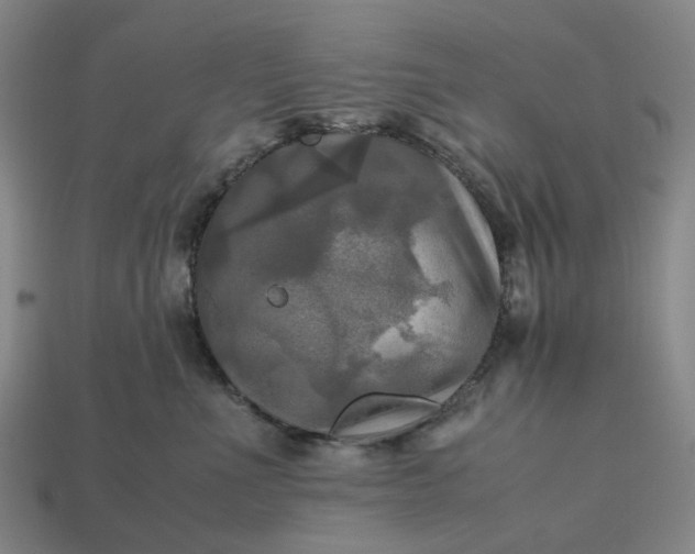 X0000112970523200909101656