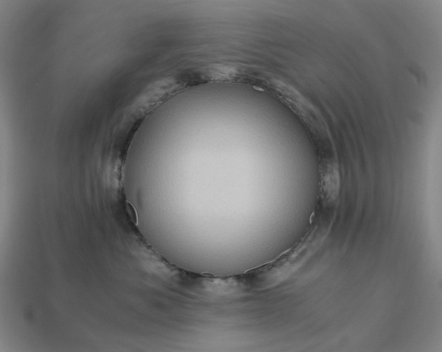 X0000112970525200909101656