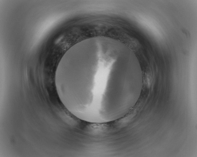 X0000112970526200909101656