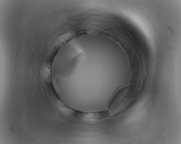 X0000112970527200909101656