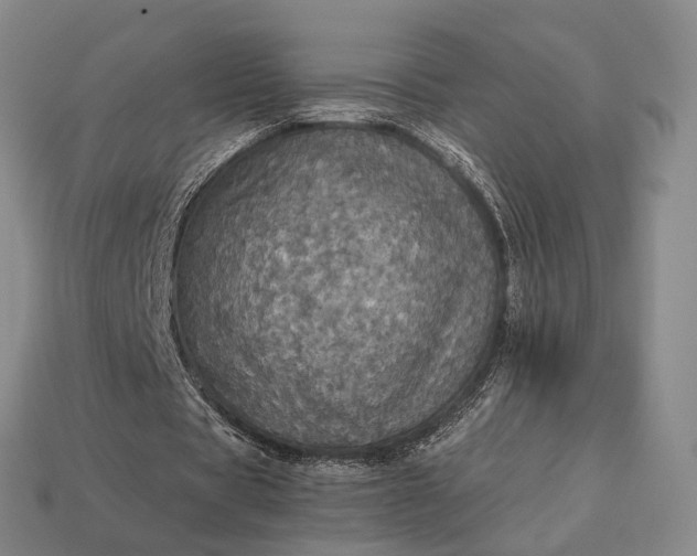 X0000112970529200909101655