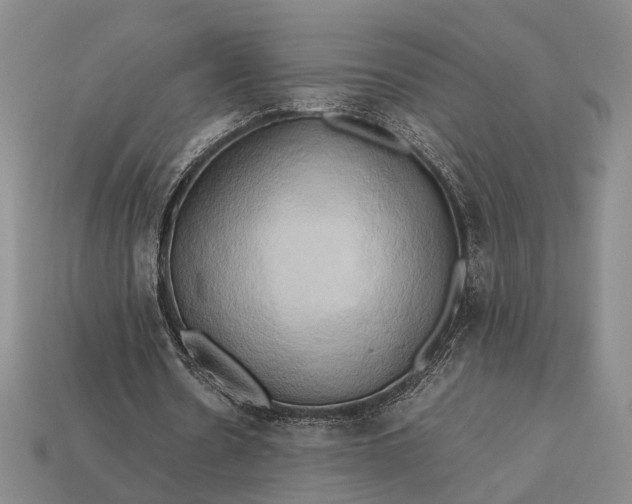 X0000112970530200909101655