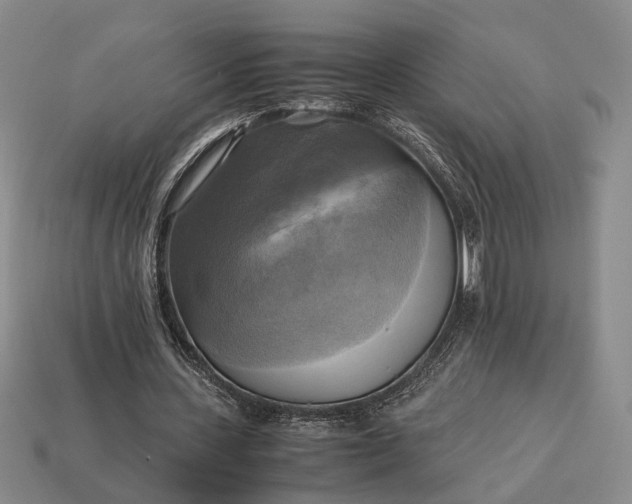 X0000112970531200909101655