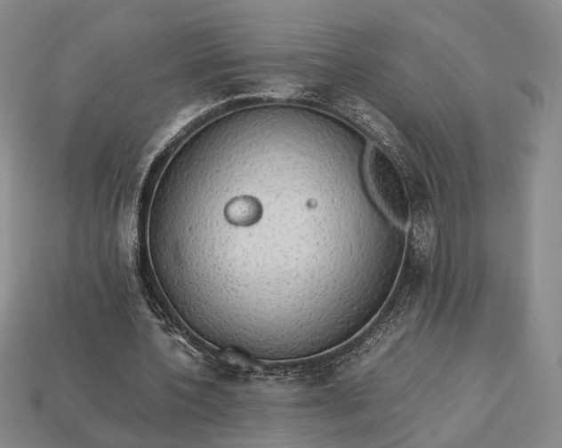 X0000112970532200909101655