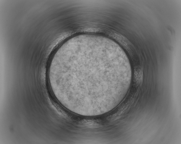 X0000112970534200909101655