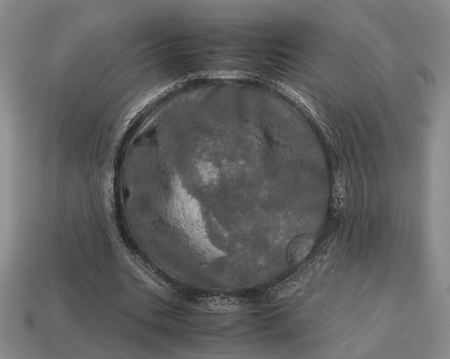 X0000112970535200909101655