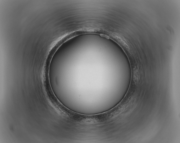 X0000112970536200909101655