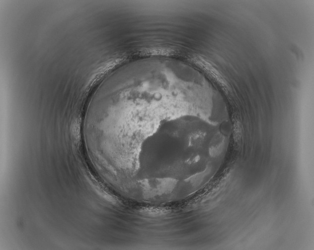 X0000112970537200909101655