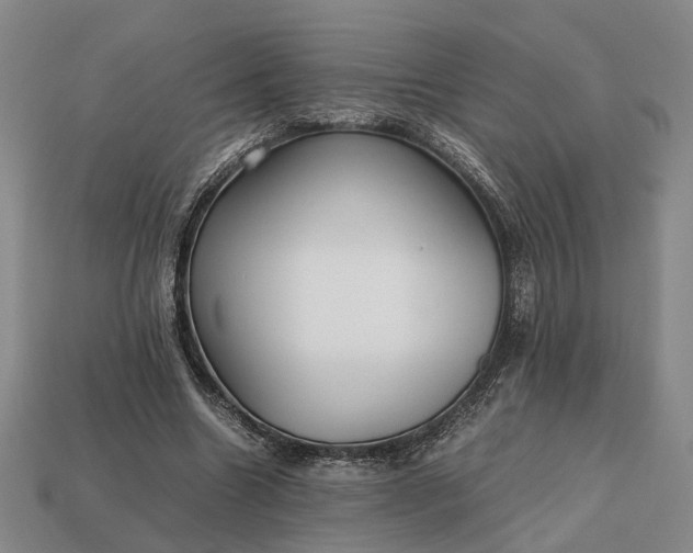 X0000112970538200909101655