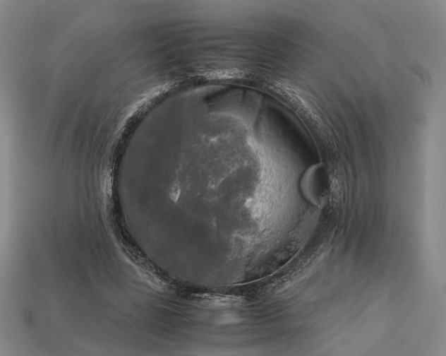 X0000112970539200909101655