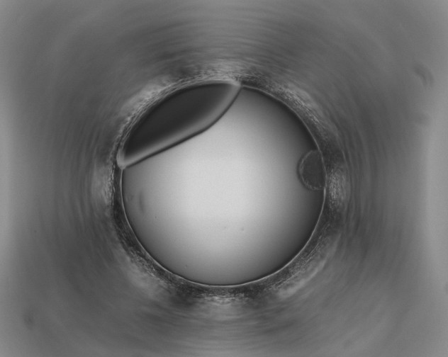 X0000112970540200909101655