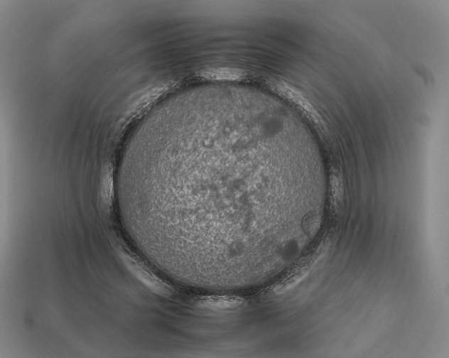 X0000112970541200909101655