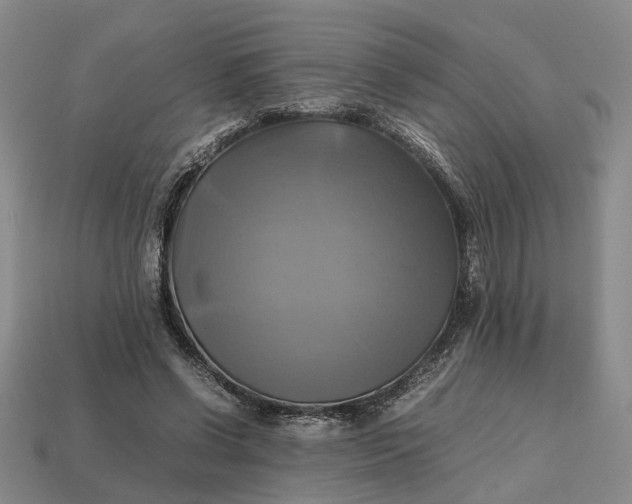 X0000112970542200909101655