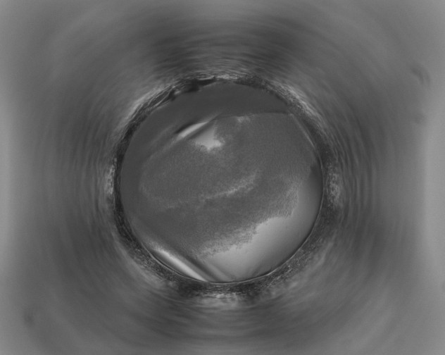 X0000112970543200909101655