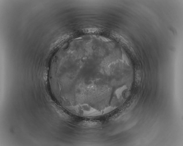 X0000112970545200909101655