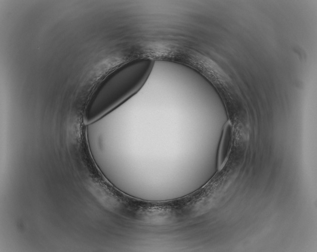 X0000112970546200909101655