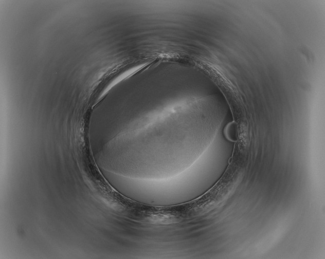 X0000112970547200909101655