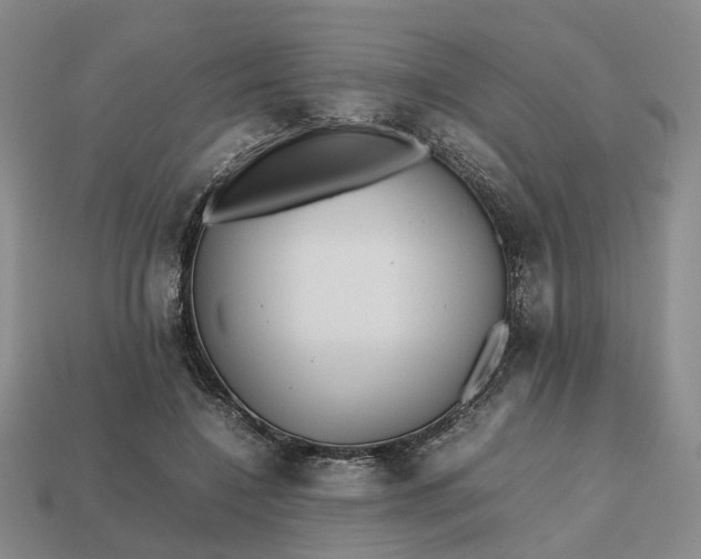 X0000112970548200909101655