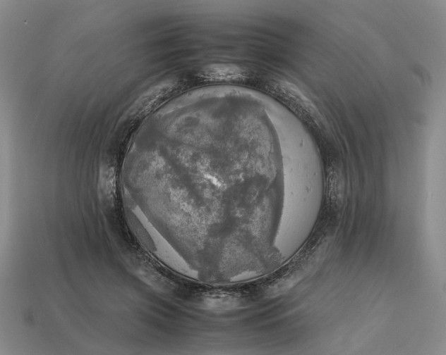 X0000112970549200909101655