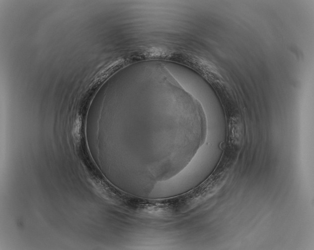 X0000112970550200909101655