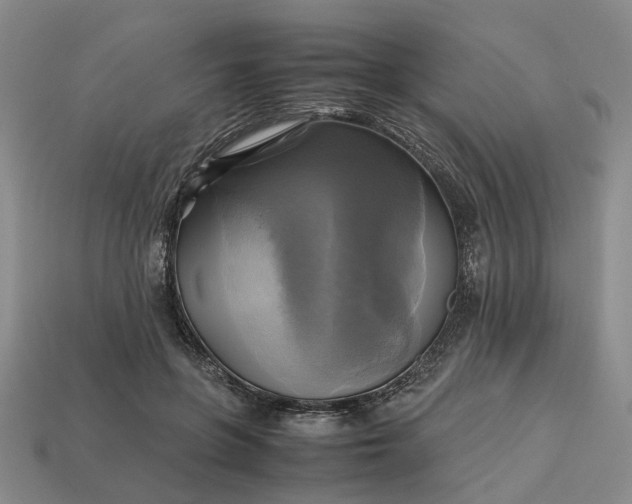 X0000112970551200909101655