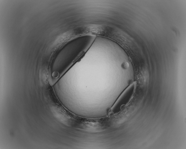 X0000112970552200909101655