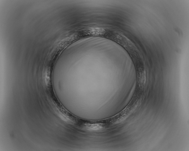 X0000112970553200909101655