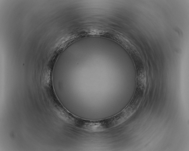 X0000112970554200909101655