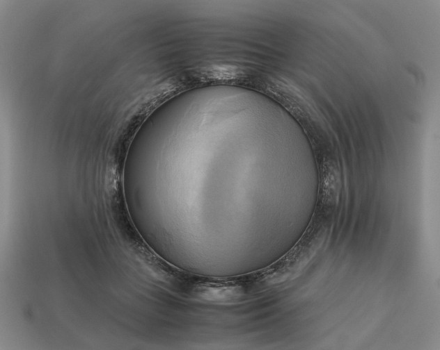 X0000112970555200909101655