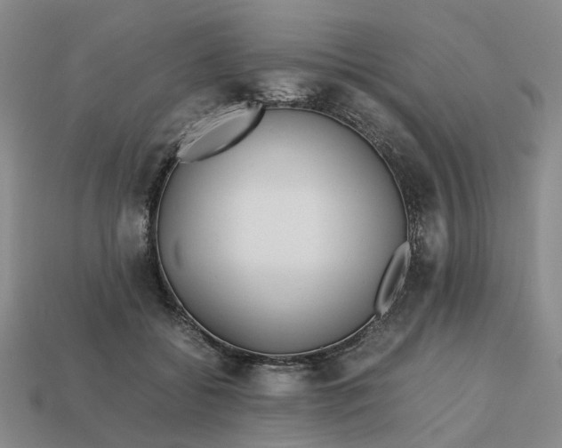 X0000112970556200909101655