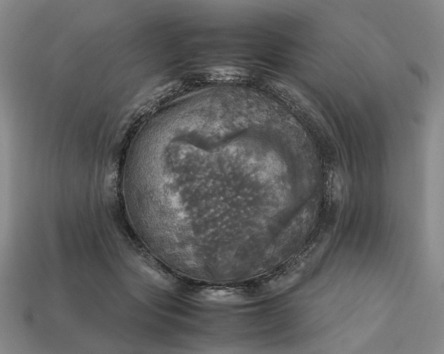 X0000112970557200909101655