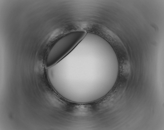 X0000112970558200909101655