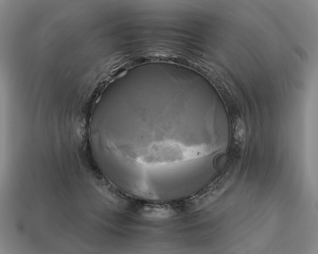 X0000112970559200909101655