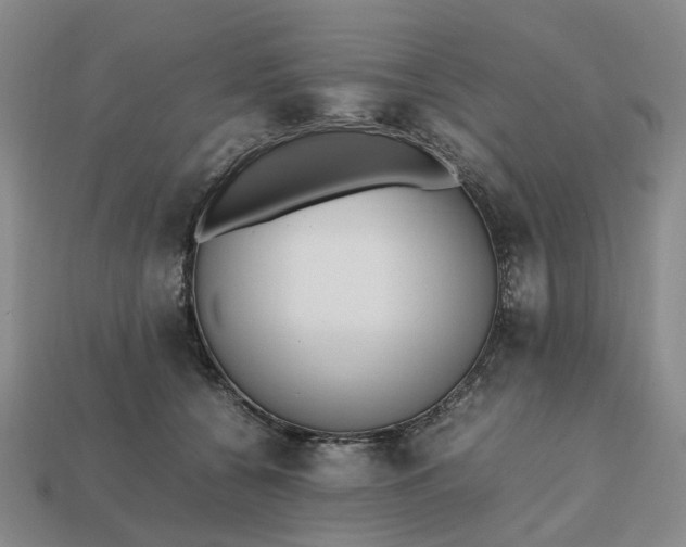 X0000112970560200909101655