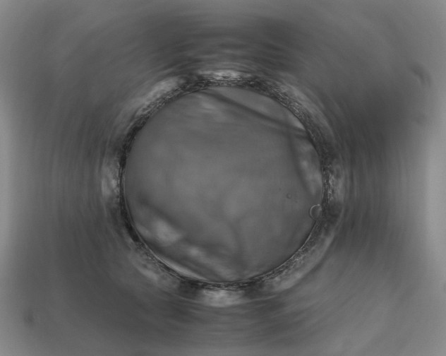 X0000112970561200909101656