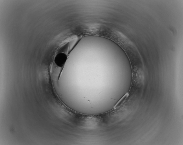 X0000112970562200909101656