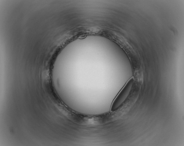 X0000112970564200909101656