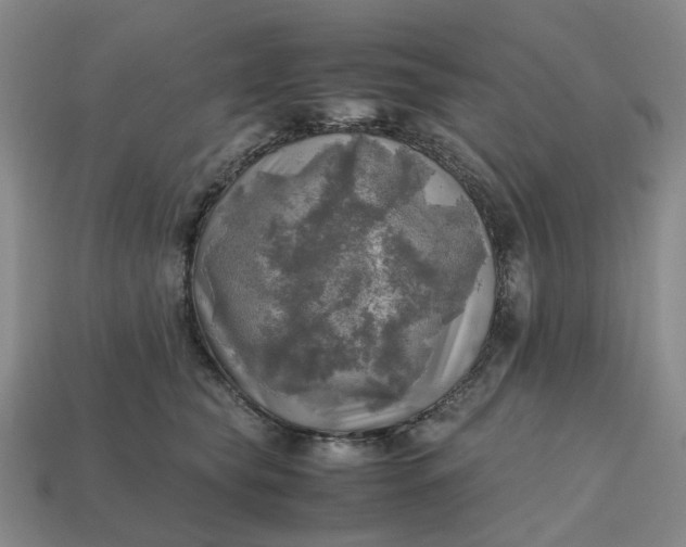 X0000112970565200909101656