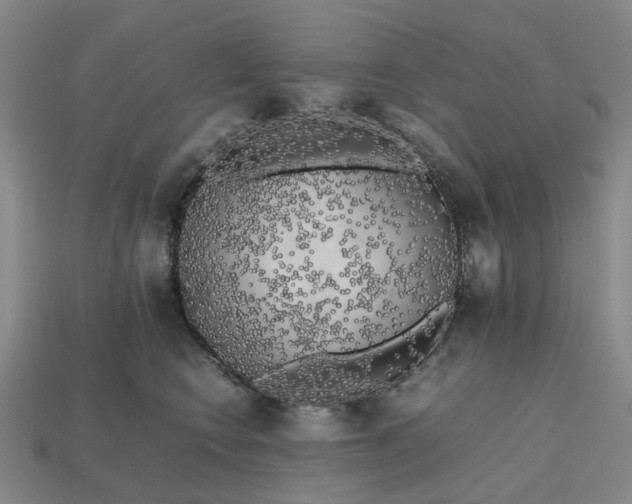 X0000112970566200909101656