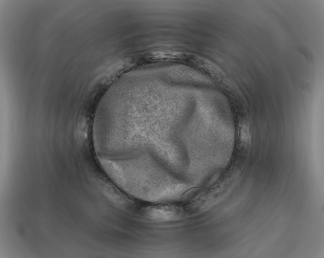 X0000112970567200909101656