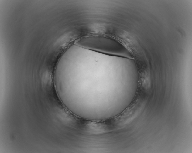 X0000112970568200909101656