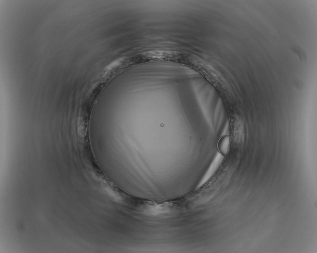 X0000112970569200909101656